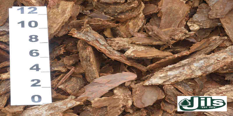 LARGE BARK CHIPS