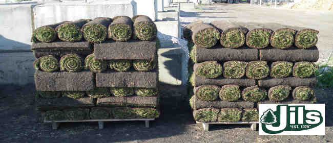 jils landscape supply sod yard
