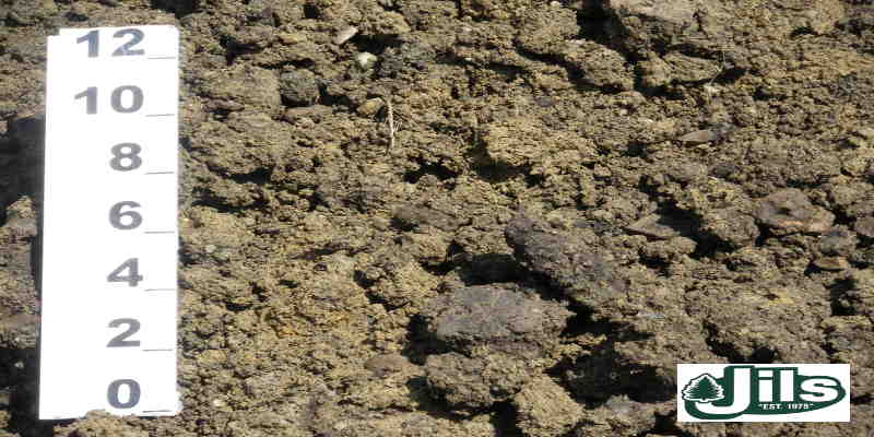 CLAY