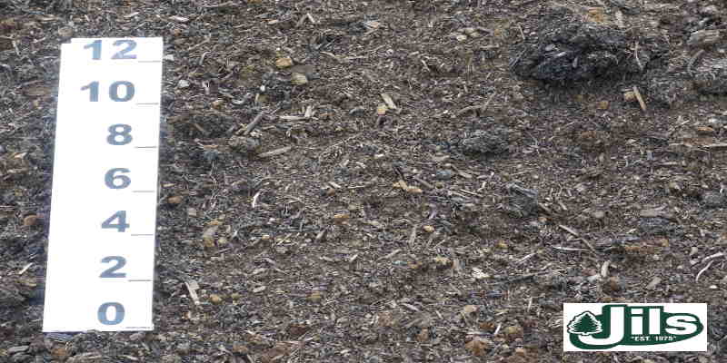 MUSHROOM MANURE