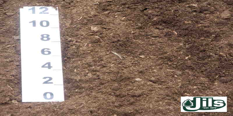 PEAT MOSS